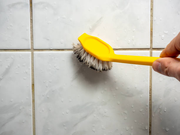 Best Local Mold Removal Service  in Edgemere, MD