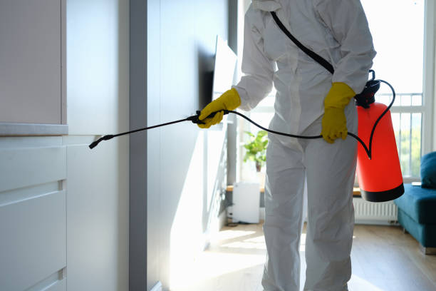 Best Residential Mold Removal  in Edgemere, MD