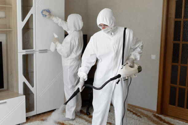 Best Mold Damage Repair  in Edgemere, MD