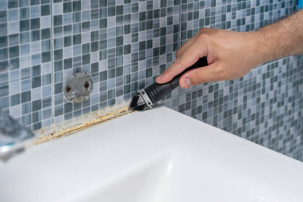 Best Affordable Mold Removal  in Edgemere, MD