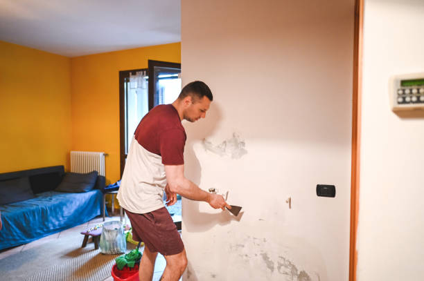Best Mold Testing  in Edgemere, MD
